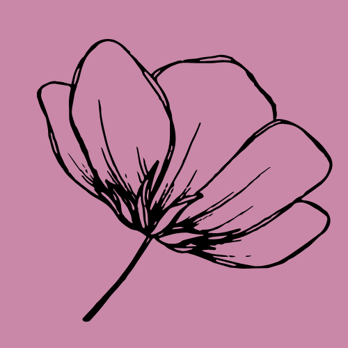 Delphine Duflot -Naturopathe